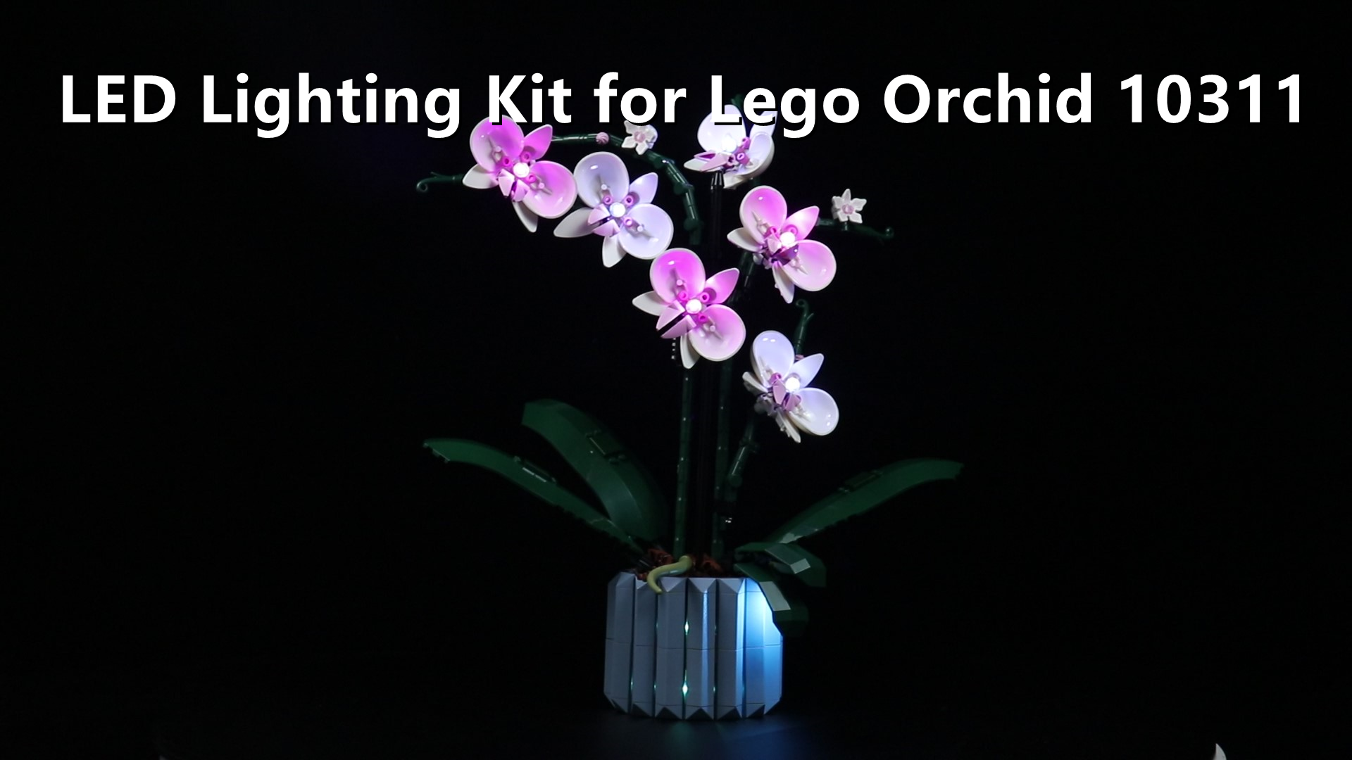Amazon.com: VONADO LED Light Kit Compatible with Lego Orchid 10311